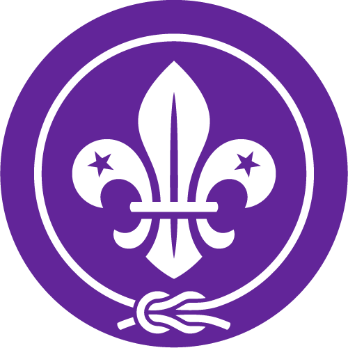 WOSM logo